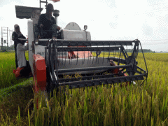 Đóng tiền để đưa máy gặt ra đồng ở Nghệ An: Tự nguyện hay ép buộc?