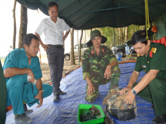 Bộ Chỉ huy Quân sự tỉnh Bình Dương: Cất bốc 14 bộ hài cốt liệt sĩ trong rừng cao su