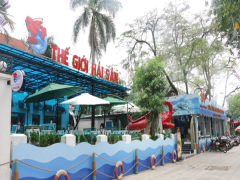 Thế giới Hải sản 9A Đào Tấn - Một trong những nhà hàng Hải sản đẹp nhất Hà Nội