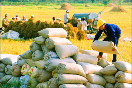 Nông nghiệp Việt Nam hướng đến mục tiêu xuất khẩu 40 tỷ USD năm 2018