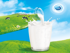 Mách nhỏ mẹ cách tìm “Quy chuẩn sữa tươi”