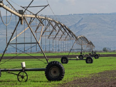 Đầu tư vào nông nghiệp: Doanh nghiệp đang mong muốn điều gì?