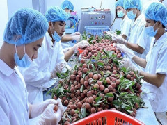 Hé lộ điểm ngáng trở nông sản Việt thâm nhập thị trường thế giới
