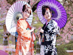Trải nghiệm văn hóa Nhật giữa lòng Hà Nội