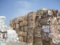 Quản lý nhập khẩu phế liệu sản xuất giấy: Doanh nghiệp lên tiếng
