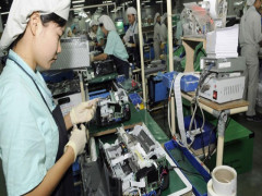 Siết chuyển giá, công ty Việt bị vạ lây: Nhiều doanh nghiệp đối mặt với thua lỗ