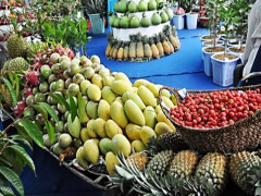 Đại gia Thái từng thâu tóm Metro ưa thích trái cây Việt