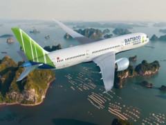 Hàng không Tre Việt chính thức được cấp phép bay