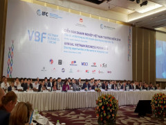 Doanh nghiệp FDI muốn Chính phủ Việt Nam chia sẻ rủi ro trong PPP