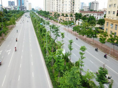 Hà Nội trồng 15.000 cây xanh nhân dịp Xuân Kỷ Hợi 2019