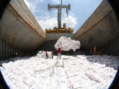 Doanh nghiệp Việt lúng túng khi Trung Quốc “siết” gạo nhập khẩu