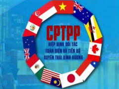 Ban hành Quyết định về Kế hoạch thực hiện Hiệp định CPTPP