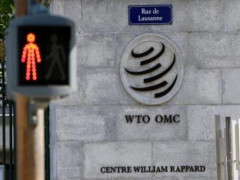 Đề xuất của Ấn Độ về cải cách WTO được nhiều nước quan tâm