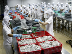 Nhật Bản - khách hàng lớn nhất của thủy sản Việt Nam