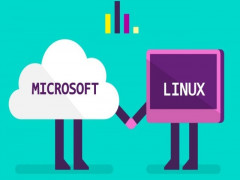 Microsoft và Linux: Không có kẻ thù vĩnh viễn, chỉ có lợi ích mới là vĩnh viễn