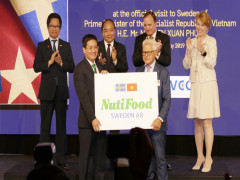 Tạo chỗ đứng toàn cầu cho thương hiệu Việt