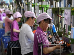 Các doanh nghiệp Trung Quốc đang tìm mọi cách để sống sót qua chiến tranh thương mại