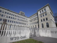 WTO thảo luận về mâu thuẫn thương mại Hàn-Nhật