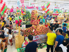 Central Group Việt Nam tiêu thụ 500 tấn thanh long Bình Thuận