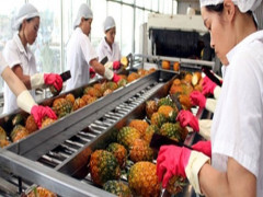 Bị siết điều kiện nhập khẩu, nông sản Việt Nam xuất sang Trung Quốc giảm nhanh