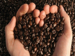 Đứng top 2 thế giới, cà phê -  thế mạnh Việt Nam gặp cú sụt mạnh
