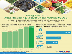 [Infographics] 7 tháng: Xuất khẩu nông, lâm, thủy sản vượt 23 tỷ USD