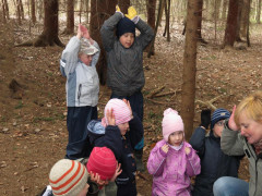 Vì sao các trường “mẫu giáo trong rừng” nở rộ ở Đức?