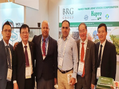 Hapro – Công ty xuất nhập khẩu chủ lực của Tập đoàn BRG đạt danh hiệu “Doanh nghiệp xuất khẩu uy tín