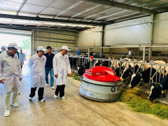 Vinamilk tham gia xây dựng vùng chăn nuôi bò sữa an toàn dịch bệnh