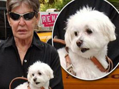 Nữ đại gia nổi tiếng keo kiệt, khi chết để lại 12 triệu USD cho chó cưng