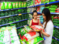 Thiếu 'giấy thông hành', doanh nghiệp Việt khó cạnh tranh