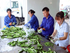 Hà Nội: Phát triển chuỗi cung ứng nông sản an toàn