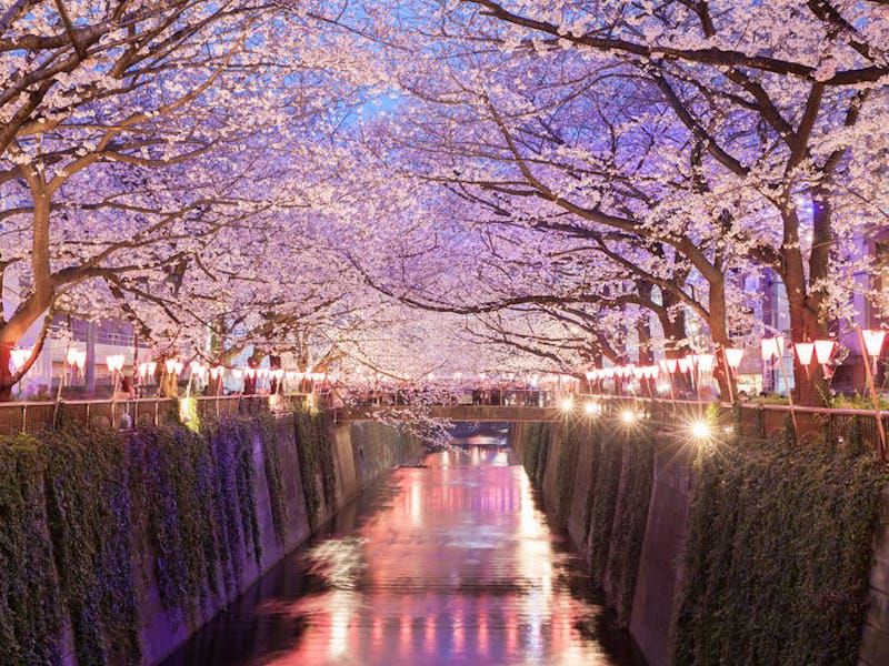 Tokyo là thành phố đẹp nhất thế giới và đây là lí do tại sao