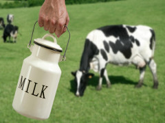 Top 5 Startup thú vị trong ngành công nghiệp Sữa