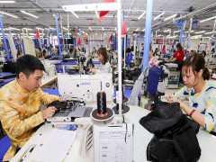 Khai thác thị trường lao động Việt Nam sau khi EVFTA có hiệu lực