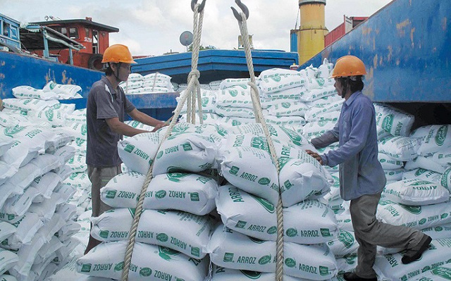 Triển vọng xuất khẩu gạo Việt Nam có “cơ” vượt Thái Lan