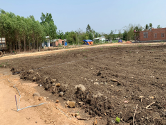 Đồng Nai: Công ty Tam Gia Phát có dấu hiệu lừa đảo khi phân lô, tách nền đất nông nghiệp để bán