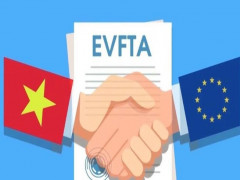 Hoàn thiện các thủ tục để EVFTA đi vào thực thi
