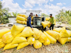 Nông nghiệp Việt Nam: Tìm cơ hội trong thách thức