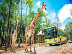 Tập đoàn Vingroup đề xuất kế hoạch làm khu sinh thái Vinpearl Safari  ở Quảng Ninh
