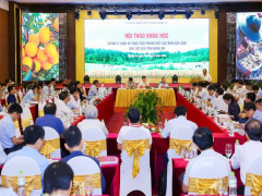 Nghệ An sẽ xây dựng cơ chế thu hút doanh nghiệp đầu tư vào nông nghiệp