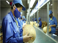 Việt Nam cần làm gì để sớm hồi phục kinh tế?