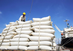 Xây dựng chất lượng gạo Việt để chiếm lĩnh thị trường