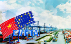 Cú hích xuất khẩu vào EU sau hai tháng EVFTA có hiệu lực