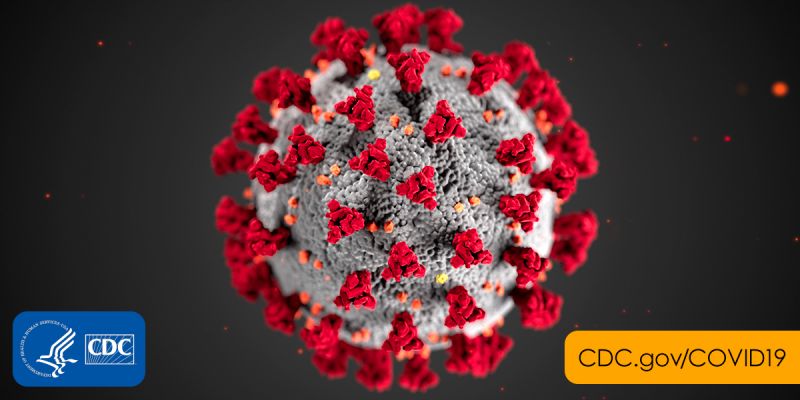 Hình mô phỏng cấu trúc của virus SARS-CoV-2 gây bệnh viêm đường hô hấp Covid-19. Chủng virus biến thể xuất hiện ở Vương quốc Anh được cho là có khả năng lây nhiễm dễ dàng hơn và đã nhanh chóng xuất hiện tại hàng loạt quốc gia và vùng lãnh thổ