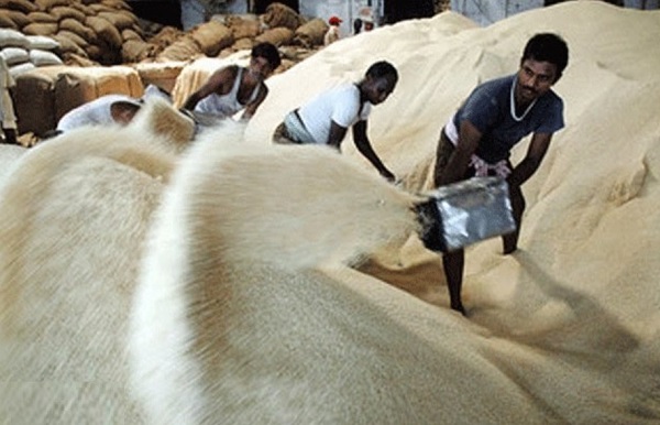 Các doanh nghiệp nhập khẩu gạo để làm thức ăn chăn nuôi hoặc dùng cho chế biến là chuyện bình thường