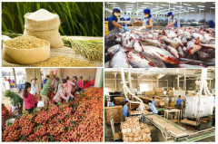 Xuất khẩu nông sản đầu năm 2021: Gạo đang là điểm sáng