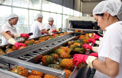 Kỳ vọng về tiềm năng xuất khẩu hàng rau quả năm 2021 của Việt Nam