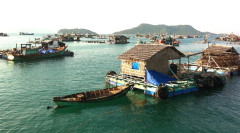 Kiên Giang: Phát triển nuôi hải sản theo hướng bền vững