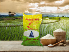 Làm gì để gạo ST25 thương mại hoá toàn cầu?